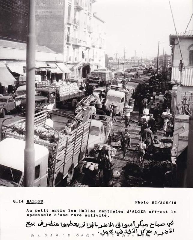 Algerie propagande 023.jpg